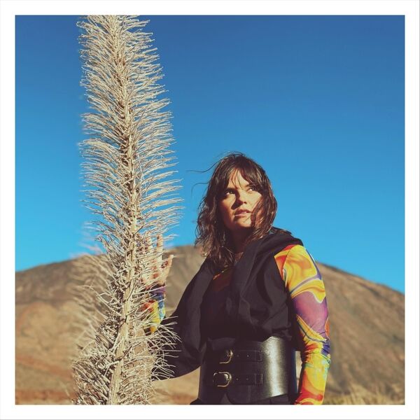 Cover art for Higher Ground